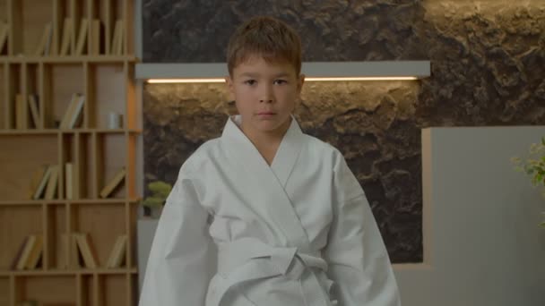 Porträtt Motiverade Bedårande Multiracial Elementär Ålder Idrottsman Unge Karate Kimono — Stockvideo