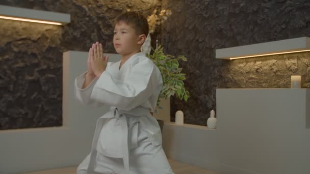Aktywny Spokojny Uroczy Wielokulturowy Chłopiec Kimono Karate Zamkniętymi Oczami Trzymający — Wideo stockowe