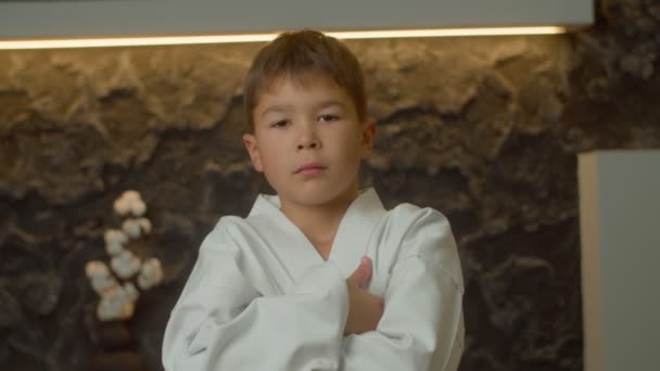 Portret Uroczego Wieloetnicznego Sportowca Sztuk Walki Kimono Karate Stojącego Krzyżowanymi — Wideo stockowe