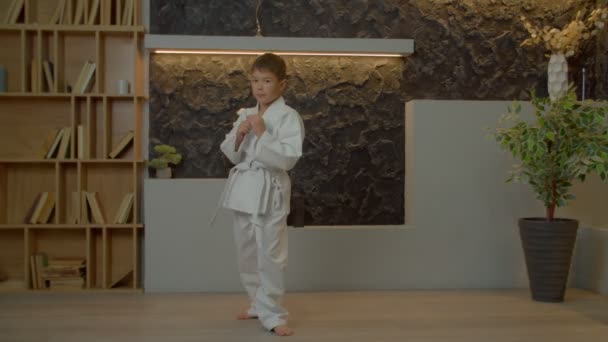 Eltökélt Motivált Aranyos Többnemzetiségű Elemi Kor Karate Harcos Fehér Kimonó — Stock videók