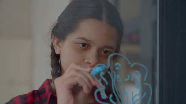 Portrait Adorable Inspired Hispanic Teenage Girl Pigtails Drawing Picture Window — Stock video