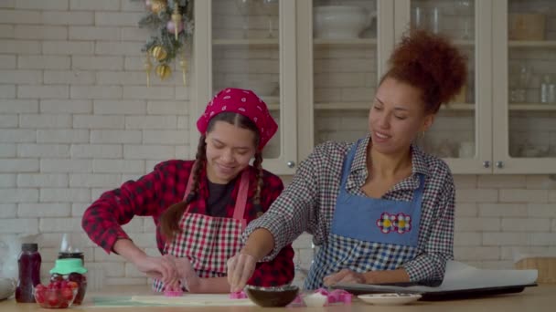 Positive Adorable Multiethnic Teen Daughter Charming Black Mother Aprons Preparing — Stockvideo