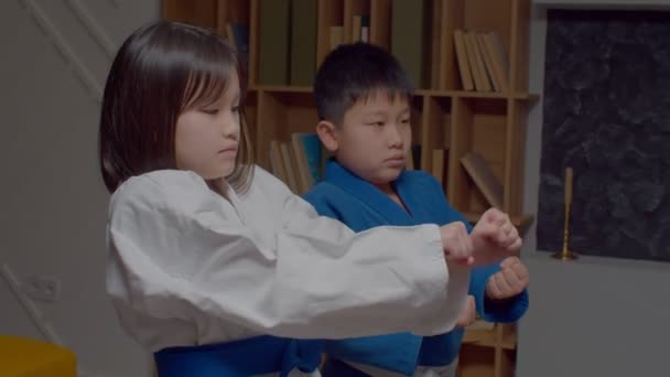 Portret Skoncentrowanych Uroczych Azjatyckich Przedszkolaków Taekwondo Mundurze Ćwiczących Sztuki Walki — Wideo stockowe