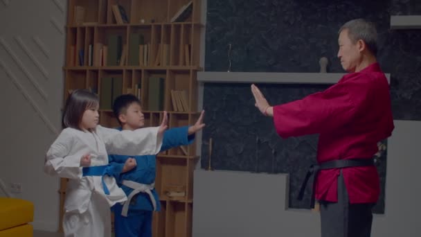 Επαγγελματίας Όμορφος Μαύρη Ζώνη Ασίας Taekwondo Πλοίαρχος Στο Dobok Διδασκαλία — Αρχείο Βίντεο