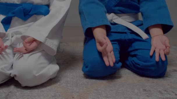 Close Preadolescent Martial Arts Students Uniform Male Trainer Sitting Kneeling — Stok video