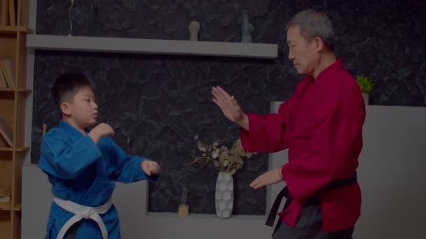 Terkonsentrasi Termotivasi Usia Sekolah Atlet Taekwondo Asia Dobok Dengan Master — Stok Video