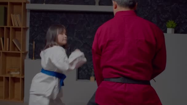 身穿制服 积极向上 可爱的亚洲小女生形象与跆拳道高级大师训练武术技巧 在室内快速踢腿技巧的研究 — 图库视频影像