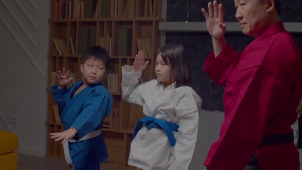 Portrét Roztomilé Motivované Předpubertální Taekwondo Asijské Studenty Uniformě Starším Mistrem — Stock video
