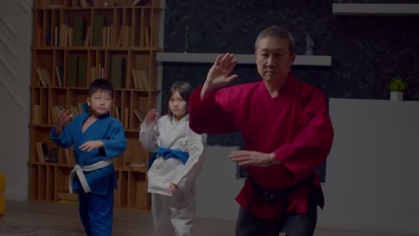 Profissional Sênior Masculino Faixa Preta Taekwondo Mestre Ensino Motivado Idade — Vídeo de Stock