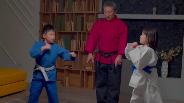 Motivierte Aktive Taekwondo Kämpfer Grundschulalter Uniform Üben Sparringstraining Unter Anleitung — Stockvideo