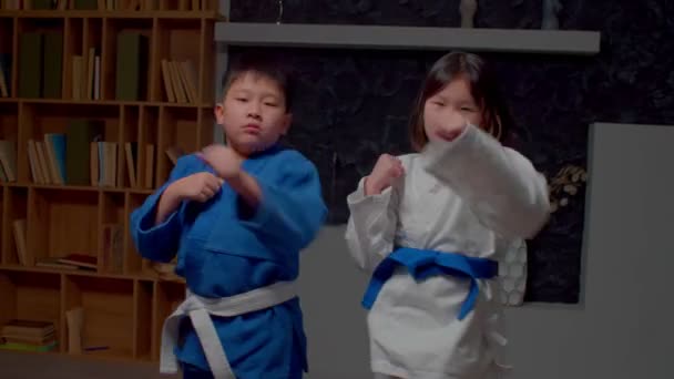Portrait Motivated Cute Preadolescent Taekwondo Asian Boy Girl Uniform Training — Stock Video