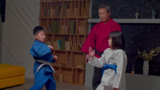 Motivado Ativo Bonito Idade Escolar Menino Taekwondo Técnicas Treinamento Uniforme — Vídeo de Stock