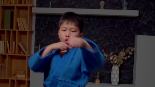 集中积极可爱的小学跆拳道亚洲男孩的制服训练武术技巧 提高打拳技巧 在室内锻炼中表现出决心和献身精神 — 图库视频影像