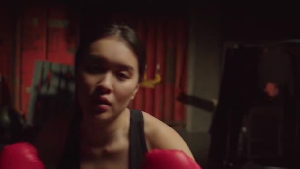 Retrato Determinado Ajuste Desportivo Concentrado Atraente Asiático Boxeador Feminino Luvas — Vídeo de Stock