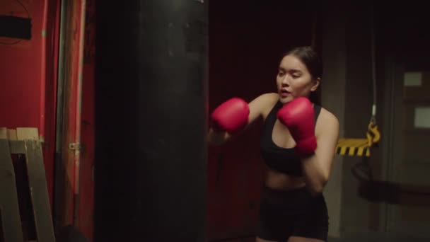积极进取的运动在手套 拳击技术和技巧训练 打拳袋 在黑暗车库健身房锻炼时提高刺拳和高难度等方面都很适合迷人的亚洲女拳击手 — 图库视频影像