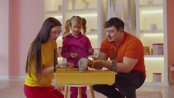 Joyeux Adorable Fille Âge Préscolaire Positifs Parents Attrayants Mettre Rat — Video