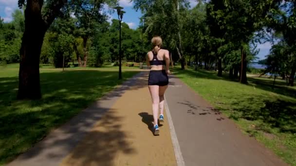 Vedere Din Spate Joggerului Feminin Atractiv Motivat Activ Îmbrăcămintea Sportivă — Videoclip de stoc
