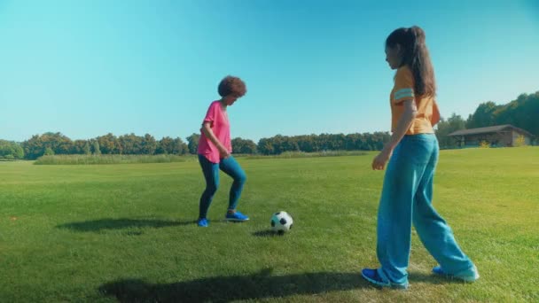 緑のフィールドでサッカーの試合を楽しみ サッカーボールを通過し 自然の中で余暇を過ごしながらサッカーのスキルを練習する陽気で統一された多民族家族の側面 — ストック動画