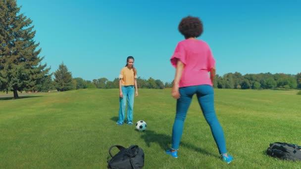 サッカーボールと楽しいアフリカ系アメリカ人の母親がサッカーの試合後に愛と絆を抱き 家族が公園でレジャーを楽しんでいる陽気でかわいい多民族の十代の娘 — ストック動画