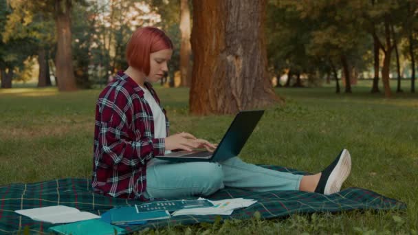 专注于聪明迷人的红头发少女在学校项目 学习与笔记本电脑和分析图表 在公园里坐着准备考试 — 图库视频影像