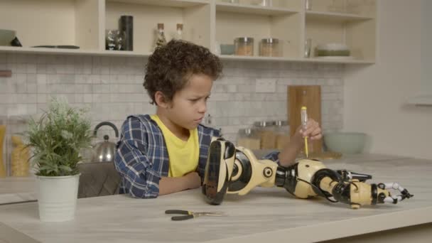 以可爱的前青少年黑人儿童为重点 发展技术技能和使用工作工具 用螺丝刀修理破碎的玩具 同时在家庭厨房呆上一段时间 — 图库视频影像