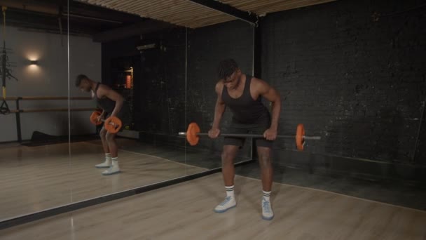 Musculoso Deportivo Motivado Activo Construye Hombre Africano Haciendo Entrenamiento Levantamiento — Vídeo de stock