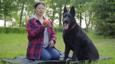 Güzel, orta yaşlı, neşeli bir Asyalı kadın piknik battaniyesinde oturmuş, oyun oynuyor ve tatlı zenci kadın çoban köpeğini eğitiyor yaz parkının keyfini çıkarırken top oynaması için..