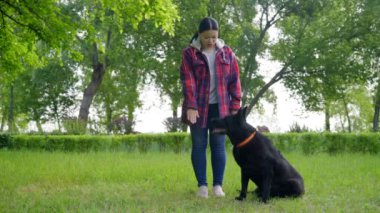 Çekici, olgun Asyalı kadın köpek itaat eğitimi alıyor, sevimli siyah dişi çobana parkta oturmayı, yatmayı ve pati komutları vermeyi öğretiyor..