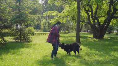 Neşeli, tapılası safkan Doğu Avrupa 'lı zenci kadın çoban atlaması, heyecanlı orta yaşlı Asyalı köpek sahibiyle eğlenirken oyuncak yakalamaya çalışmak ve dışarıda çekiciyle oynamak..