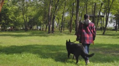 Tatlı safkan siyah çoban köpeğiyle rahatlamış dişi köpek sahibinin dikiz manzarası. Birlikte boş zamanların tadını çıkarıyorlar. Yaz doğasında yeşil çimlerde yürüyorlar..