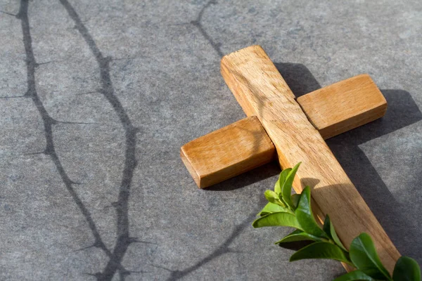 Cruz Madeira Com Raminho Buxo Sombra Espinhos Paixão Cristo Páscoa — Fotografia de Stock