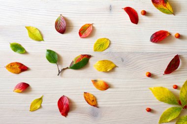 Renkli yapraklardan yapılmış saat, sonbahar başlangıcı, yaz saati değişimi konsepti