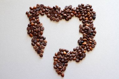 Kahve çekirdeğinden yapılmış bağırsaklar, kahvenin bağırsak sağlığı üzerindeki etkisi, yaratıcı kavram.