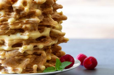 Litvanya sakotisi ya da Polonya kayağı, ahududu ve nane ile süslenmiş geleneksel ağaç keki.