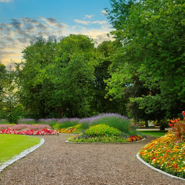 Letní Zahrada Květinovými Záhony Trávníky Stezkami — Stock fotografie