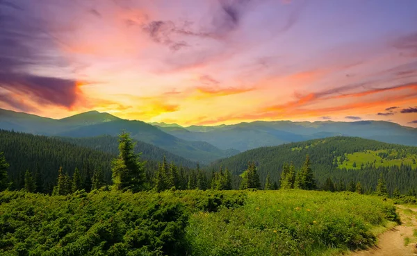 Hermosa Puesta Sol Las Montañas Los Cárpatos Ucrania Verano — Foto de Stock