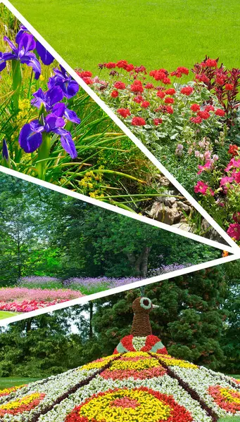 市内庭園や公園で明るい花壇 コラージュ 垂直写真 — ストック写真