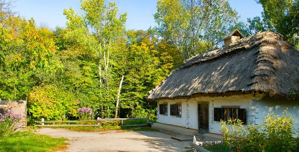Drewniane Domy Kolorowych Drzew Podjęte Parku Jesienią Muzeum Pirogovo Kijów — Zdjęcie stockowe