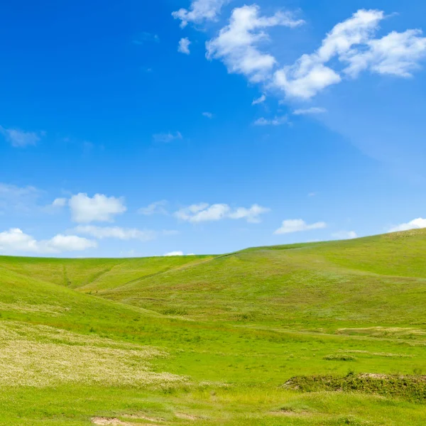 グリーン フィールドのパノラマと青空 夏の晴れた日に草の丘の上にパノラマ ビュー — ストック写真