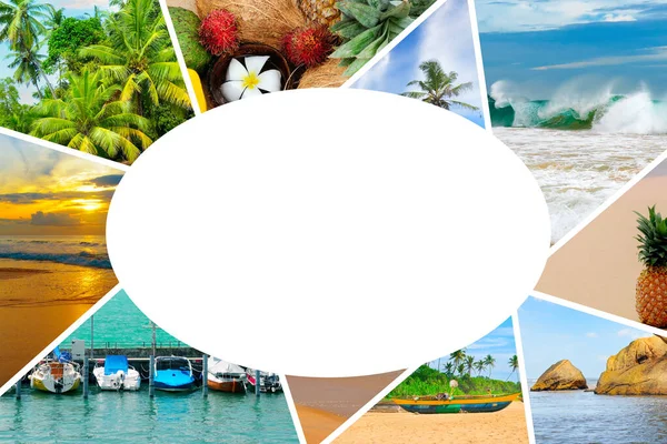 Tropik deniz manzarası, egzotik meyveler ve palmiye ağaçları. Seyahat ve tatil reklamları için kolaj. Metin için boş alan.