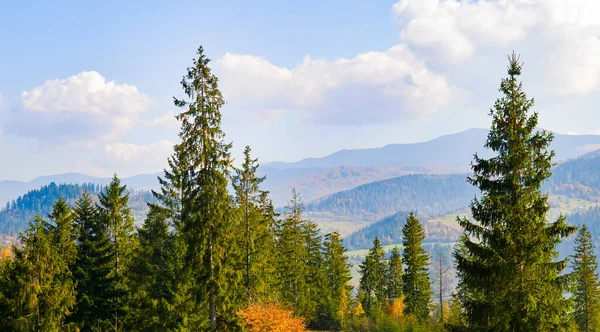 Malowniczy Krajobraz Górski Jesiennymi Lasami Szczytami Górskimi Horyzoncie Błękitnym Niebem — Zdjęcie stockowe