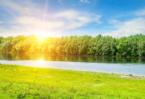 朝の日当たりの良い風景と木草川 — ストック写真
