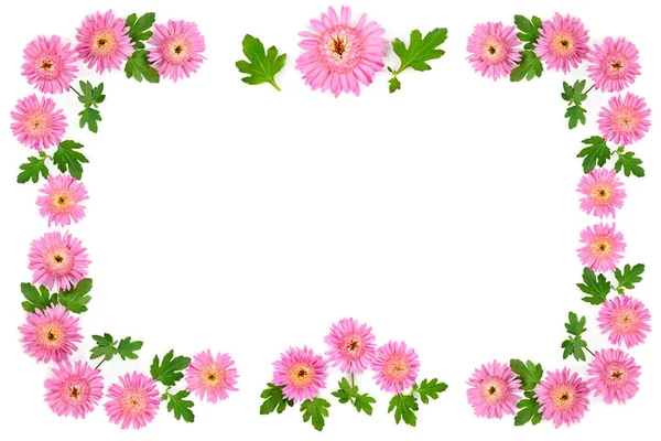 Modello Fiore Crisantemo Isolato Sfondo Bianco Spazio Libero Testo Collage — Foto Stock