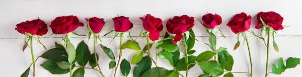 Beyaz Arka Planda Kırmızı Güllerin Şenlikli Deseni Geniş Resim — Stok fotoğraf