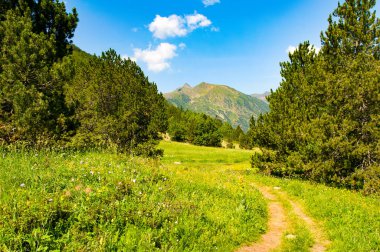 Andorra 'daki Pireneler Dağları, Orman, çayır ve yol.