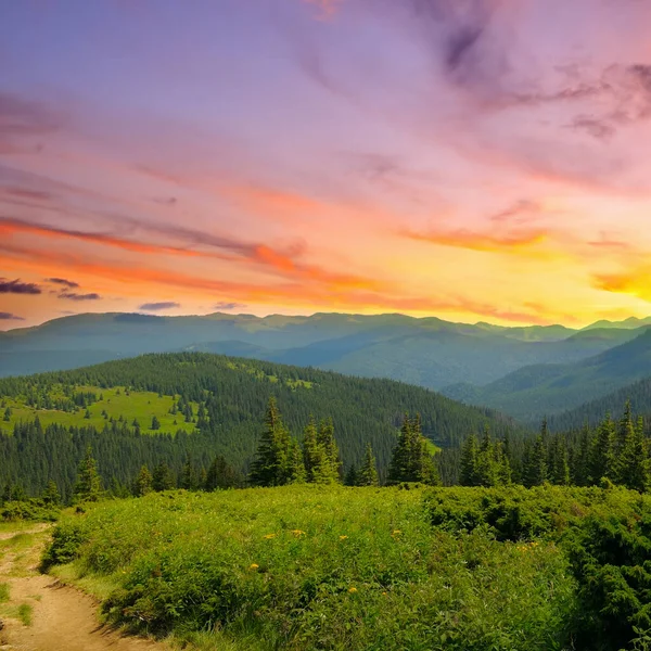 Hermosa Puesta Sol Las Montañas Los Cárpatos Ucrania Verano — Foto de Stock