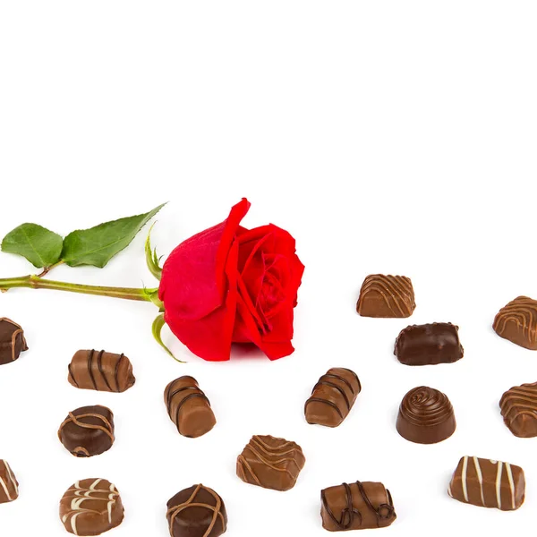 Шоколадные Конфеты Розы Изолированы Белом Фоне Свободное Место Текста — стоковое фото