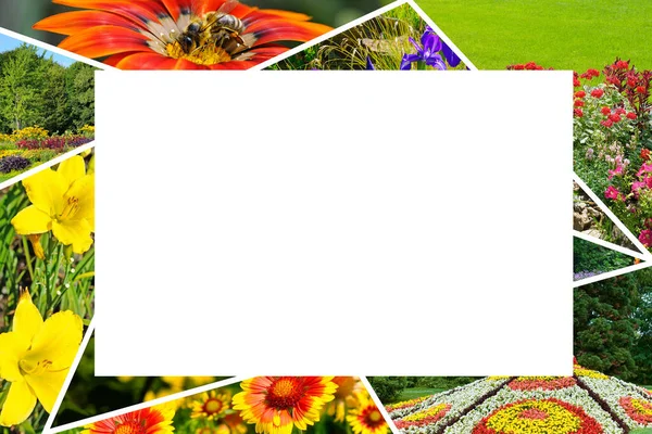 Bright Collage Photos Flowers Flower Beds Collage Frame Empty Space — Stock Photo, Image