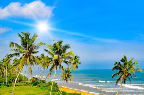 美しい熱帯のビーチと太陽とヤシの木 — ストック写真