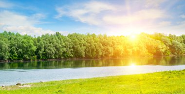 Sade nehir, ormanı ve çayırı olan pitoresk kıyı. Yaz, güneşli bir gün. Geniş resim.